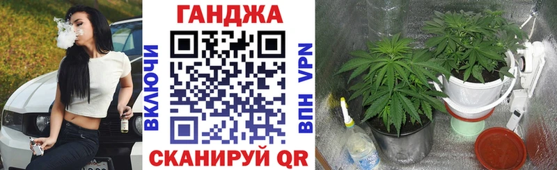 Продажа наркотиков Калининск Канабис Лсд 25 ГАШИШ Псилоцибиновые грибы Alpha PVP Cocaine АМФЕТАМИН