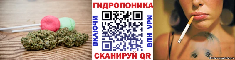 Canna-Cookies марихуана MEGA ONION Калининск где продают