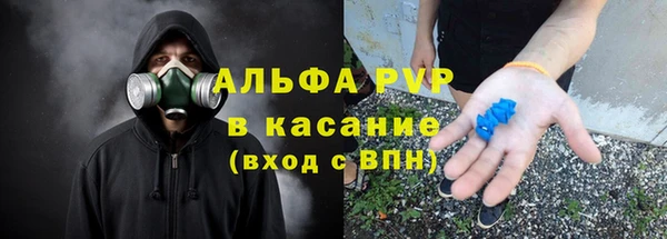 прущий лед Алзамай