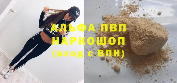 индика Алексин