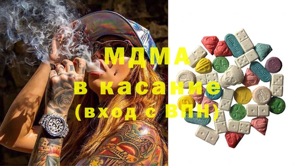 индика Алексин