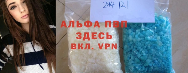 индика Алексин