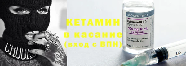 индика Алексин
