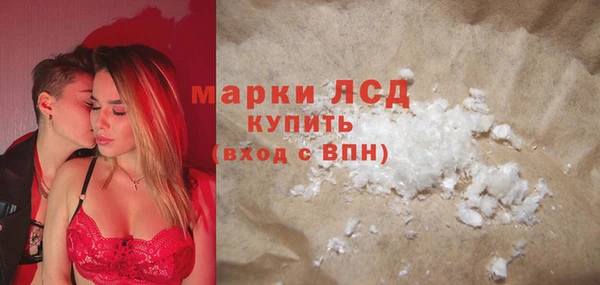 индика Алексин
