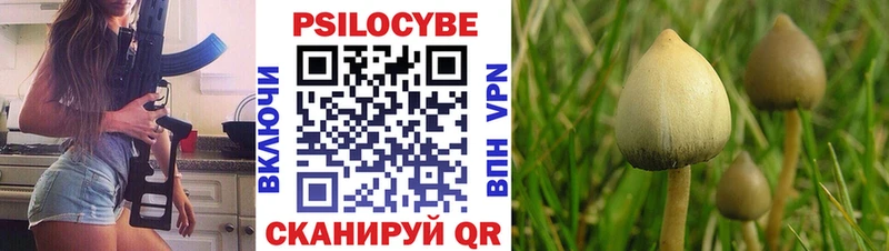 где можно купить   Калининск  Псилоцибиновые грибы ЛСД 